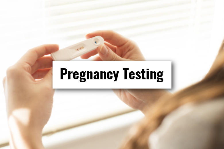 Woman holding pregnancy test with text over button reading "Pregnancy Testing"