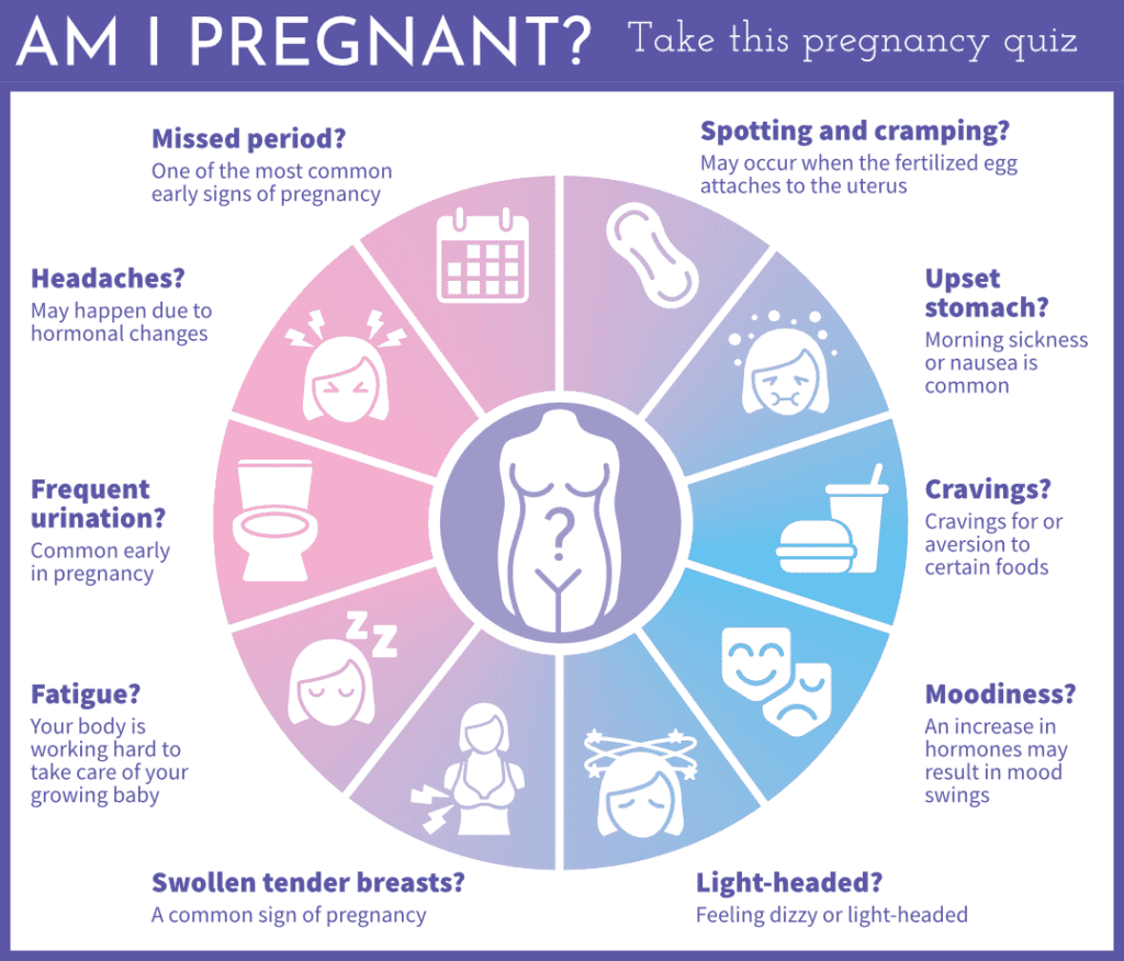 Infographic with text "Am I Pregnant" And a wheel with graphics and symptoms listed around the wheel.