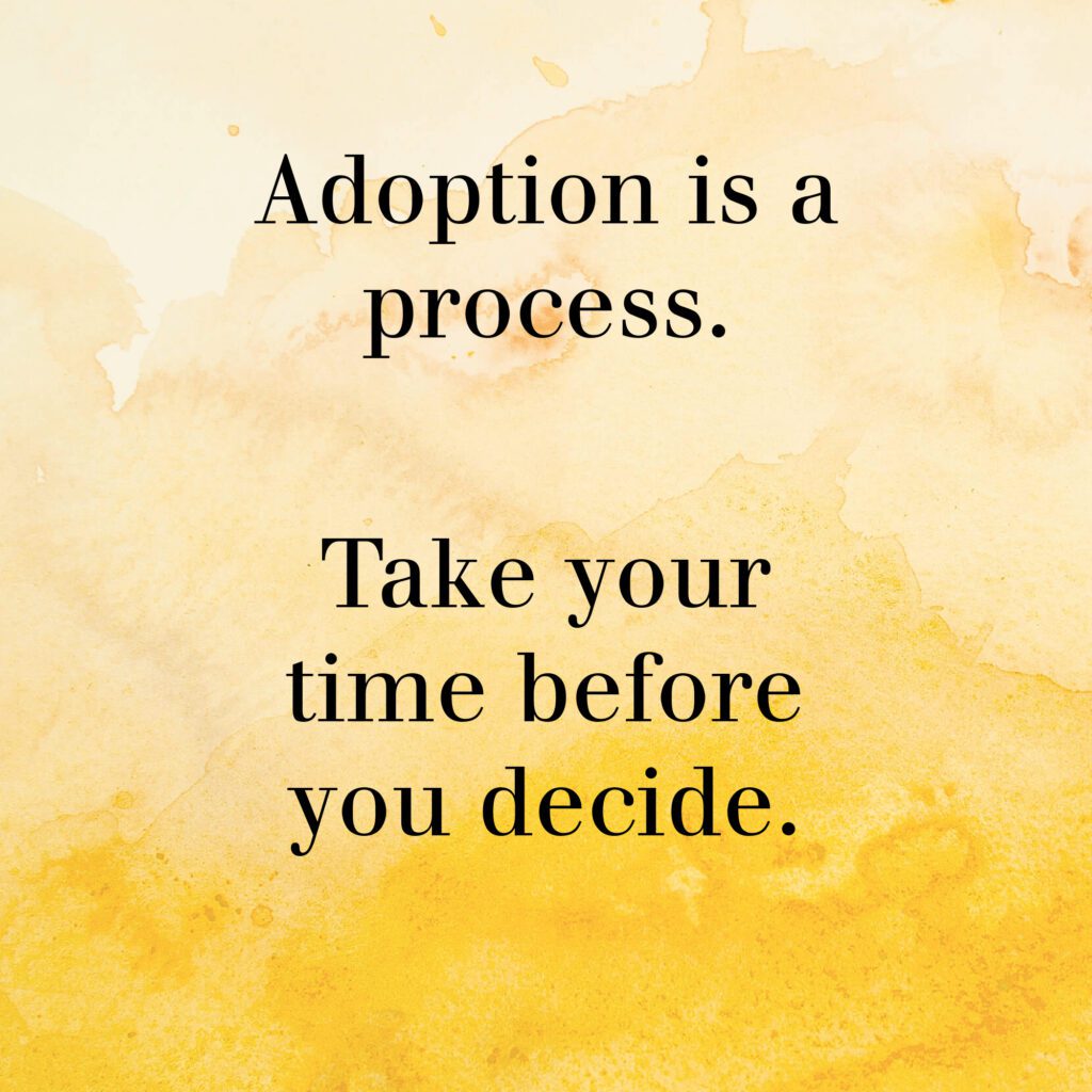 Watercolor graphic with text "Adoption is a process. Take your time before you decide."